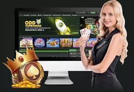 Unified dashboard rajabandoy platform dashboard showing slot tournament leaderboard and live-dealer table selection